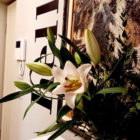 トリノSky Loft Nuovissimo Vicinanze Metroアパートメント エクステリア 写真